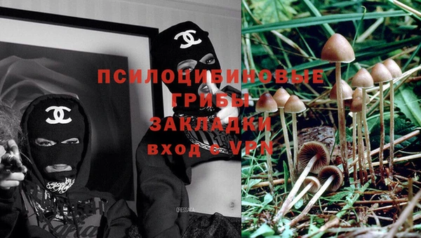 спиды Алексеевка
