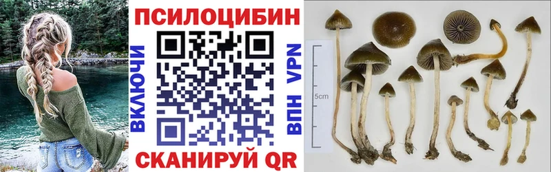 даркнет сайт  Невьянск  даркнет телеграм  Псилоцибиновые грибы ЛСД  mega как зайти 